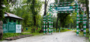 chapramari-forest-head-1